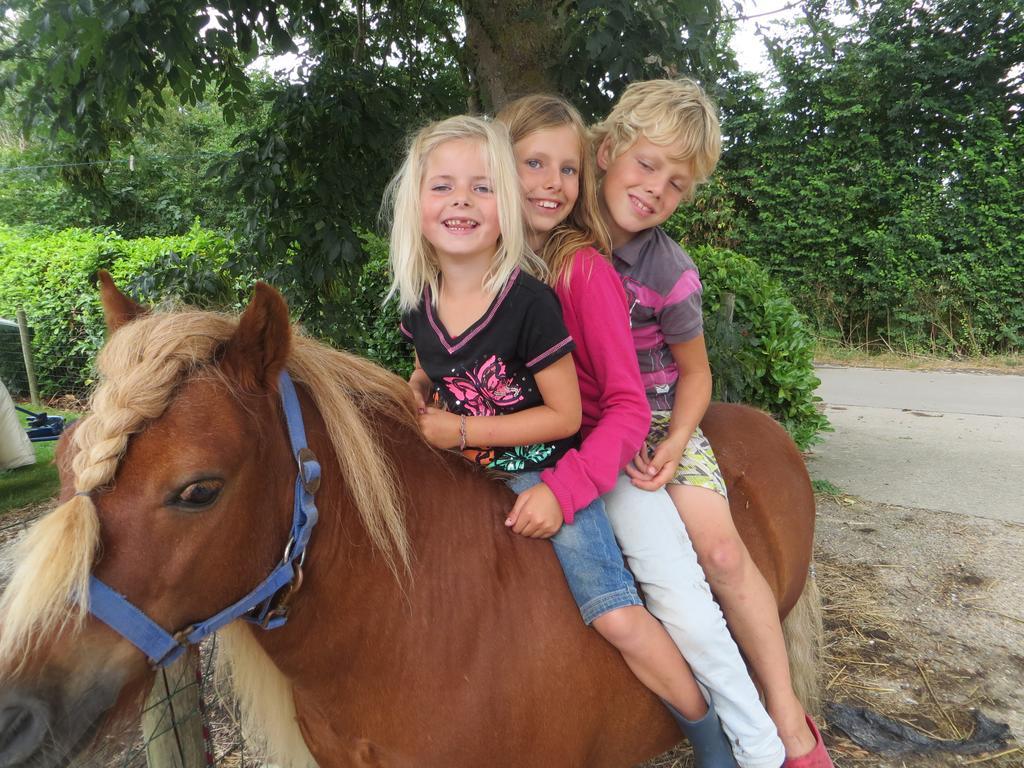 Boerderijcamping Plantlust フェーレ 部屋 写真