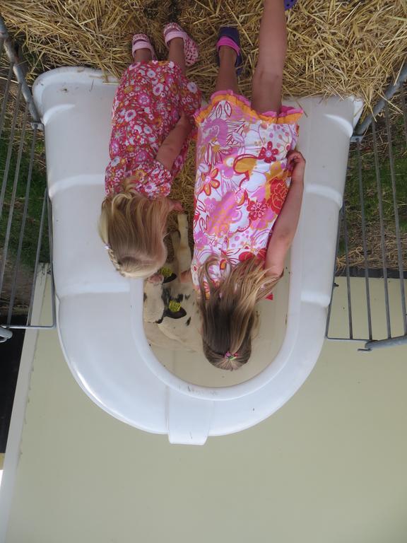 Boerderijcamping Plantlust フェーレ エクステリア 写真